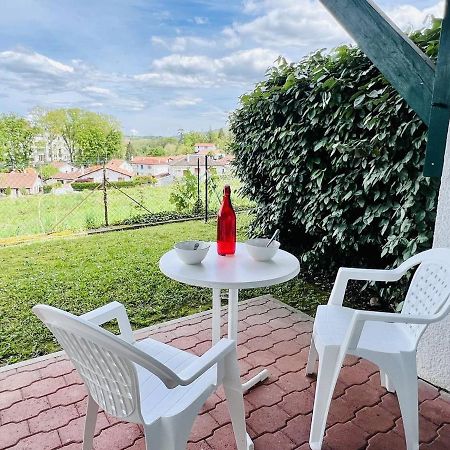 Studio Eglantine A Cambo-Les-Bains, Proche Thermes, Terrasse, Parking, Acces Internet, Animaux Ok - Fr-1-495-106 Dış mekan fotoğraf